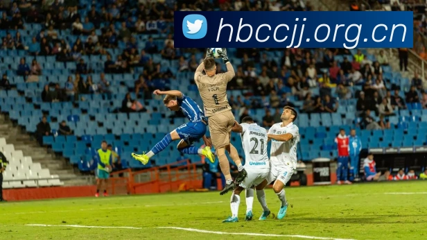 半岛在线登录官网品牌故事