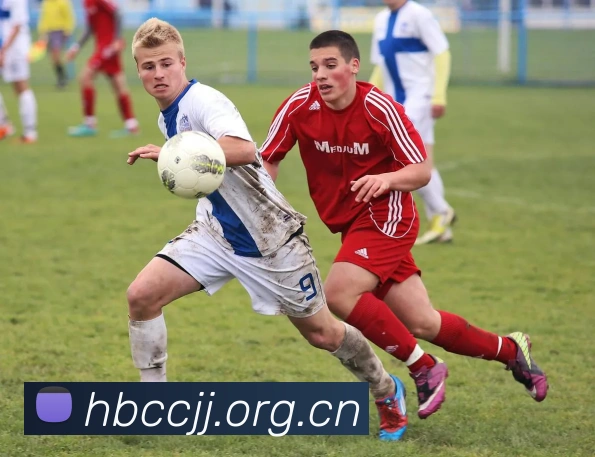 半岛在线登录官网服务体系